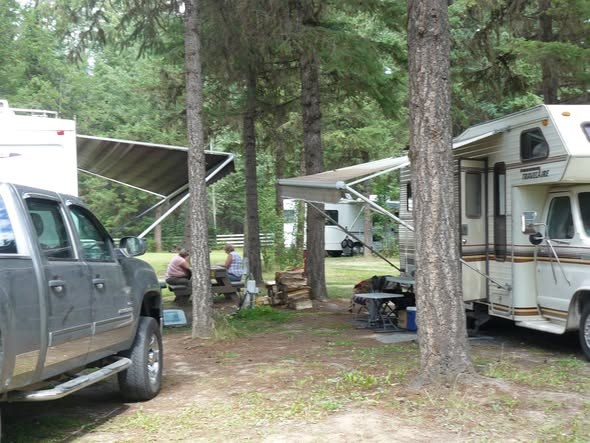 RVs with awnings out on shaded campsites under tall pines